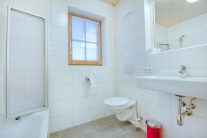 Vannituba majutusasutuses Grünerstein Chalet Jungbrunnen