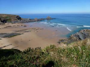 una spiaggia con uccelli sulla sabbia e sull'oceano di Monte da Bela Vista - Luxury Villa 10 mins from best beaches in Portugal a Pedreneiras