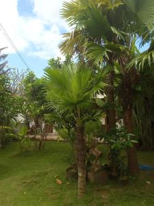 Zahrada ubytování HENDRO'S SURF CAMP Pulau merah