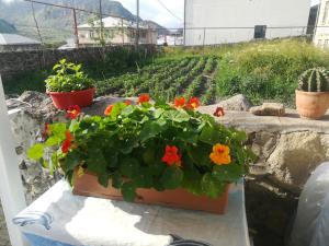Giardino di guest house lela rezo