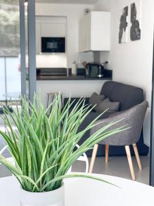 a living room with a chair and a plant at T2 NEUF TERRASSE PRES des PLAGES in Saint-Cyr-sur-Mer