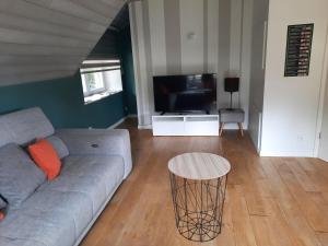 a living room with a couch and a tv at Superbe Appart' Bois De Fagne in Malmedy