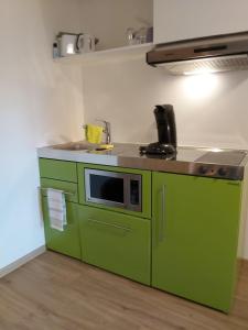 Kuchyň nebo kuchyňský kout v ubytování Appartements Vallüla Montafon