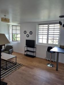 ein Wohnzimmer mit einem Sofa und einem TV in der Unterkunft Location saisonnière appartement situé à Saumur in Saumur