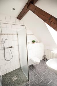 a bathroom with a shower and a toilet at Gasthof Zum Goldenen Stern in Karstädt