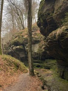 a tree on a dirt path next to a rock formation at Haus Astrid in Irrel