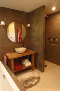 Gîte écoconçu charmant proche zoo de la Flèche的一间浴室