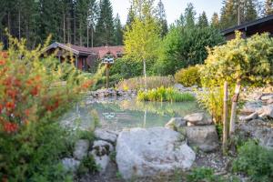a garden with a pond in front of a house at Hüttenresort Mare in Fichtelberg