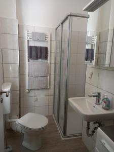 ein Badezimmer mit Dusche, Toilette und Waschbecken in der Unterkunft Appartment Hochpaterre in Springe