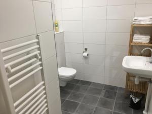 Bilik mandi di Oostzomerland +22 gambar