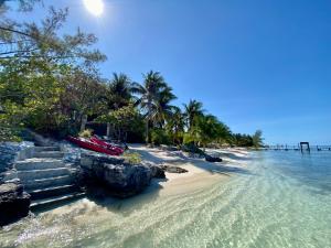 una playa con escaleras, palmeras y el océano en Lola by Coco B Isla, en Isla Mujeres