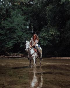 Imagen de la galería de La Mello Adventure Lodge, en Palomino