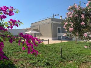 Zahrada ubytování B&B Mercadante