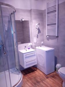 łazienka z prysznicem, toaletą i umywalką w obiekcie Hostel Tulip - pokój nr 8 ze wspólną łazienką i kuchnią w Szczecinie