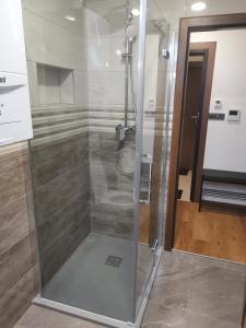 eine Dusche mit einer Glastür in einem Badezimmer in der Unterkunft Nibela Apartments in Zagreb