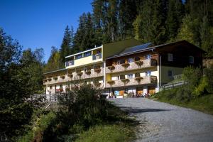 Příroda nedaleko hotelu