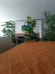 Billede fra billedgalleriet på HOTEL CASTIYA i M'diq + 48 billeder