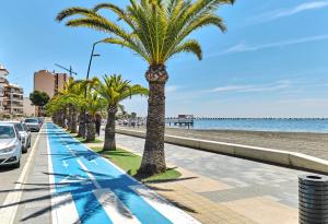 a row of palm trees on a sidewalk next to the beach at Apartment Golden Luna in San Pedro del Pinatar