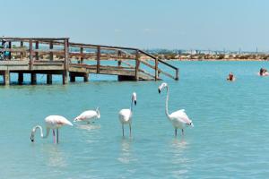 Naturlandskabet i nærheden af lejligheden