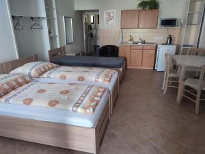 Fotografia z galérie ubytovania Pension Dana Karaskova v destinácii Kutná Hora