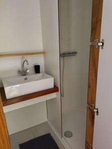 a bathroom with a sink and a shower at Studio sympa avec petit déjeuner entre canal et Loire in Roanne