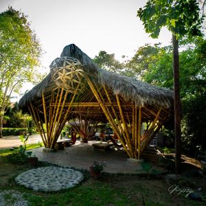 Zahrada ubytování Suites La Tortuga