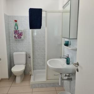 ein Bad mit einer Dusche, einem WC und einem Waschbecken in der Unterkunft Appartamento Ticino in Monte Carasso
