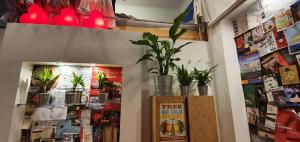 Fotografie z fotogalerie ubytování City Center Loft v Budapešti