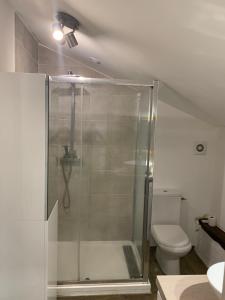 a bathroom with a shower and a toilet at Maison en Pierre - Proche de la Mer in Castellare-di-Casinca