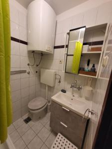 a small bathroom with a toilet and a sink at Studio Prommontore in Premantura