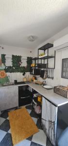 a kitchen with a counter and a counter top at Studio Prommontore in Premantura +26 photos