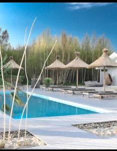 a swimming pool with straw umbrellas and chairs and a pool at Pastelowe Domki Wicie in Wicie