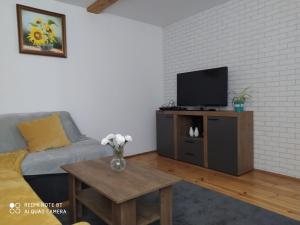 a living room with a couch and a tv at Domek przy parku in Susiec