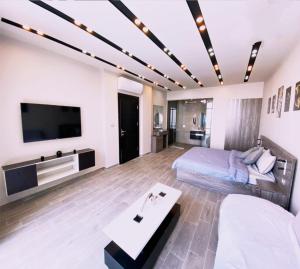 TV a/nebo společenská místnost v ubytování laperla chalet villa di lusso deadsea