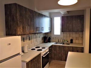 Kuchyň nebo kuchyňský kout v ubytování Artemis suites