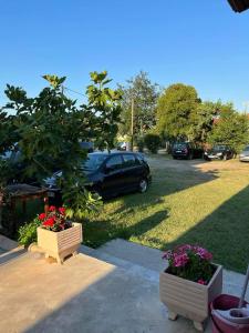 un'auto parcheggiata in un parcheggio con due piante in vaso di villa panorama a Asprovalta