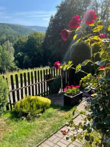 a garden with roses and a fence with a view at Pod Piekiełkiem in Szczytna