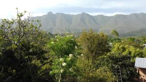Φωτογραφία από το άλμπουμ του Mountain View Swellendam σε Swellendam