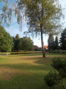 Zahrada ubytování U Koupaliště