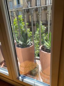 Galeriebild der Unterkunft Petit Rosselló in Barcelona