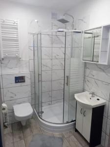 a bathroom with a shower and a toilet and a sink at Apartament Po schodkach in Duszniki Zdrój