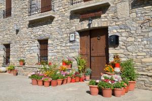 a bunch of pots of flowers in front of a stone building at Casa Rural Perico in Fiscal