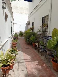a courtyard with potted plants in a building at Carmona&House in Seville