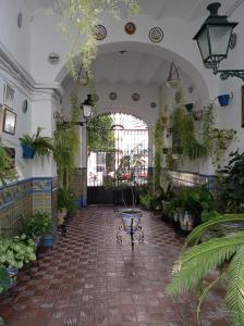 a room filled with lots of potted plants at Carmona&House in Seville