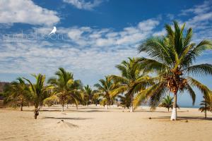 Φωτογραφία από το άλμπουμ του Amotape Comfort σε Zorritos