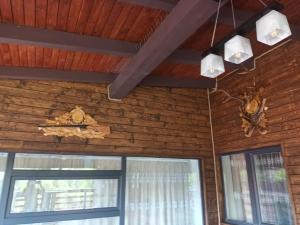 Foto dalla galleria di Pensiunea ATLANTIS a Moisei