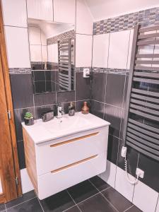 a bathroom with a white sink and a mirror at Unicorn Hřensko in Hřensko