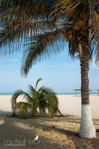 Φωτογραφία από το άλμπουμ του Amotape Comfort σε Zorritos