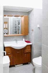 bagno con lavandino, servizi igienici e specchio di Pine trees 55 ad Atene