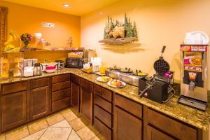 Kuchyň nebo kuchyňský kout v ubytování Alpine Inn & Suites Gunnison